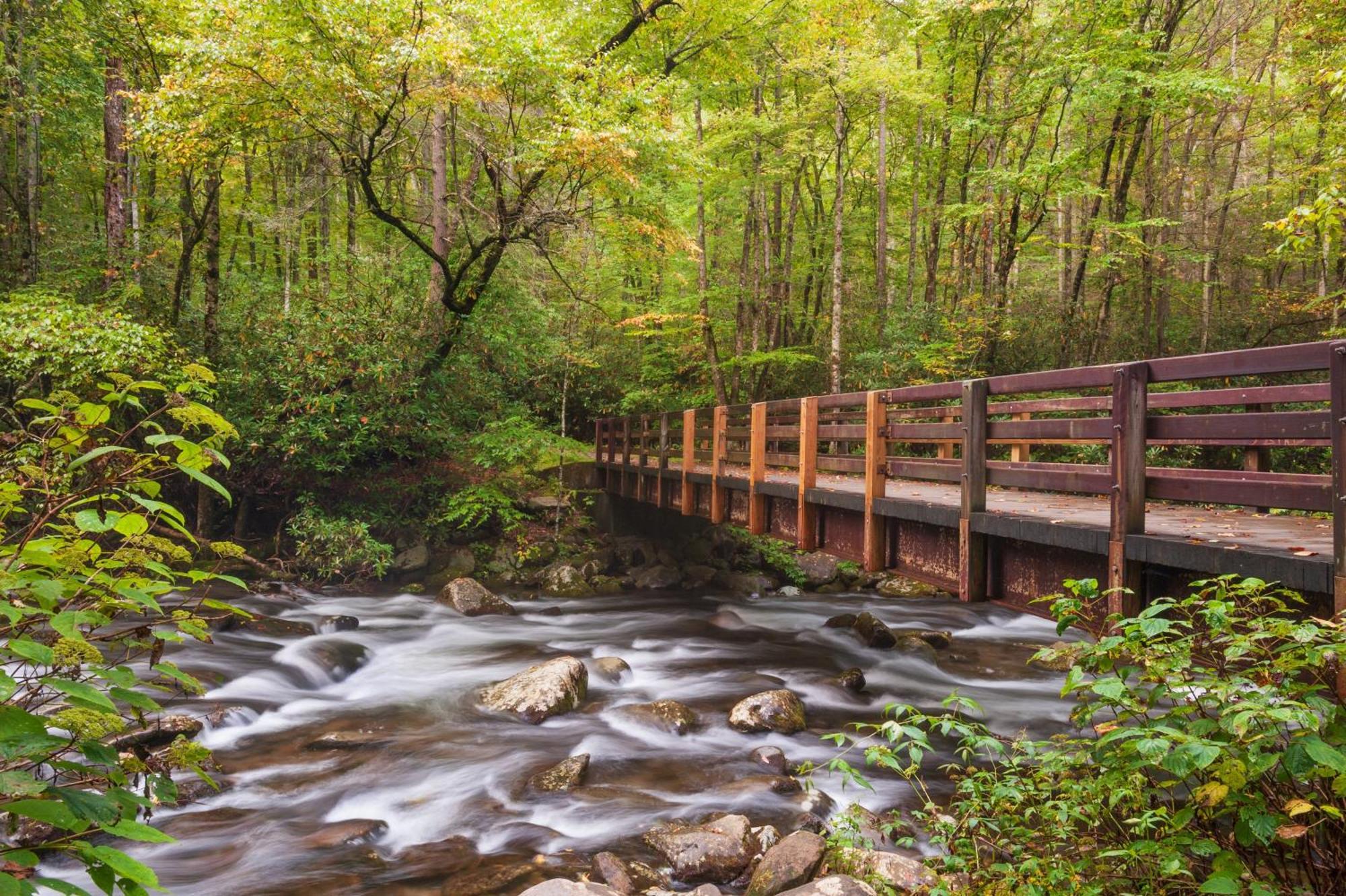 The Mason Jar, Hot Tub, Wifi, 1089 Free Tickets Each Paid Day, Dollywood And More! Pigeon Forge Esterno foto